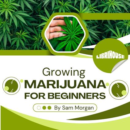Growing Marijuana for Beginners