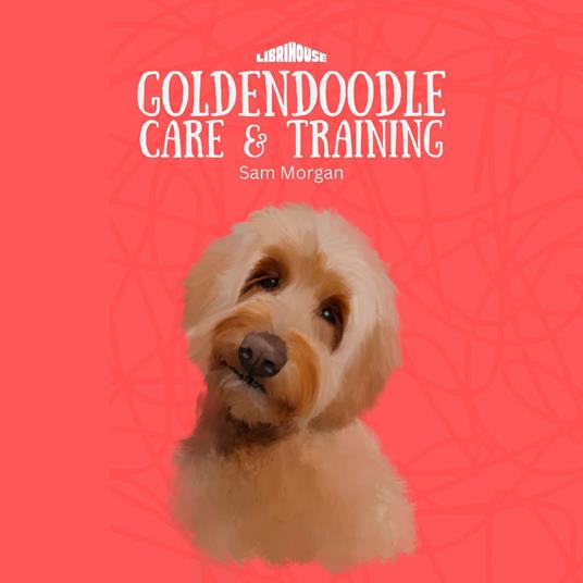 Goldendoodle Care and Training