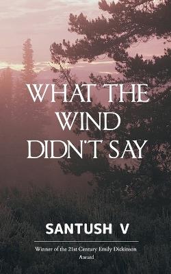 What The Wind Didn't Say - Santush V - cover