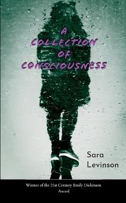 Potery collection 511 (Edition1) - Sara Levinson - cover