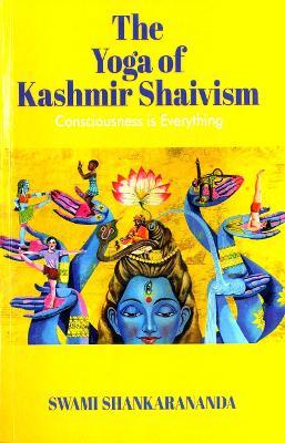Consciousness is Everything - Swami Shankarananda - cover
