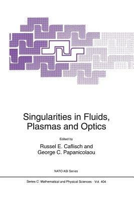Singularities in Fluids, Plasmas and Optics - cover