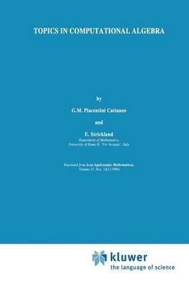 Topics in Computational Algebra - cover