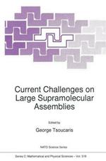 Current Challenges on Large Supramolecular Assemblies