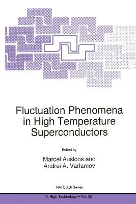 Fluctuation Phenomena in High Temperature Superconductors - cover