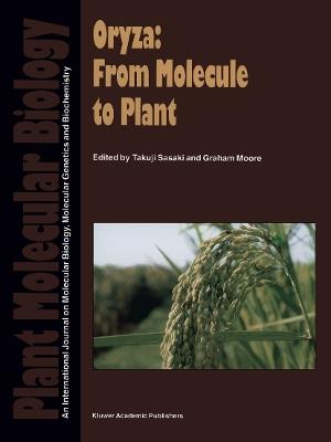 Oryza: From Molecule to Plant - cover