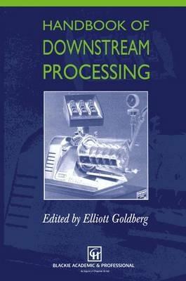 Handbook of Downstream Processing - E. Goldberg - cover