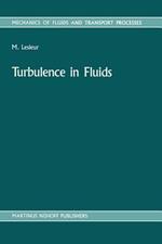 Turbulence in Fluids: Stochastic and Numerical Modelling