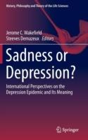 Sadness or Depression?: International Perspectives on the Depression Epidemic and Its Meaning