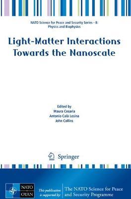 Light-Matter Interactions Towards the Nanoscale - cover