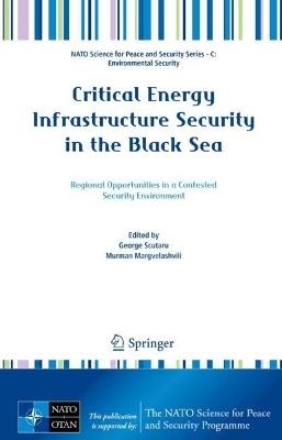 Defending Maritime Assets: Approaches to Critical Infrastructure Protection - cover