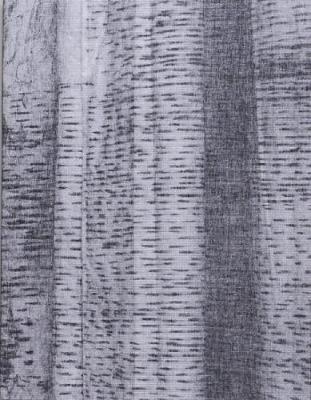 The lasting one, that didn’t last, that still lasts - Hannelore Dijck - cover