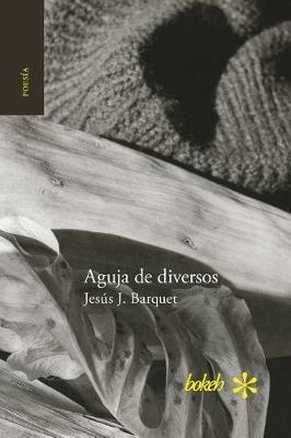 Aguja de diversos - Jesus J Barquet - cover