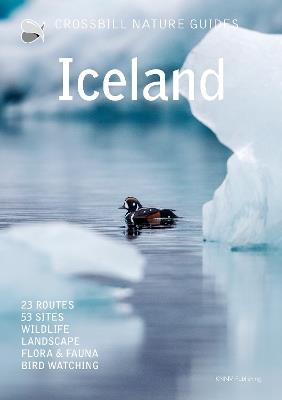 Iceland - Dirk Hilbers - cover