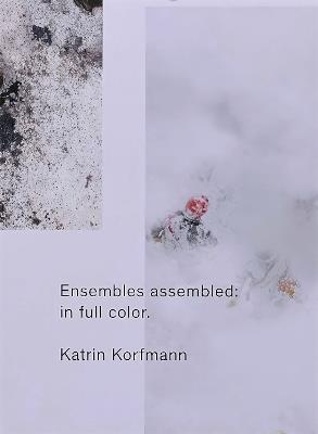 Ensembles Assembled: In Full Color - cover