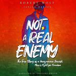Not A Real Enemy