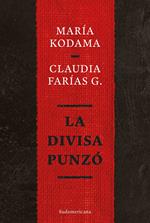 La divisa punzó