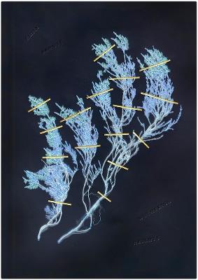 Wuthering Heights - Emily Bronte - cover