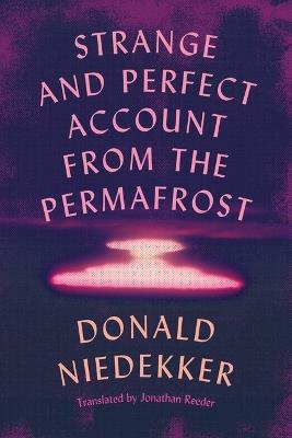 Strange and Perfect Account from the Permafrost - Donald Niedekker - cover