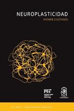 Neuroplasticidad