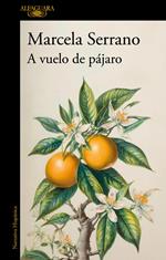 A vuelo de pájaro