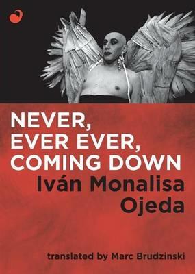 Never, Ever Ever, Coming Down - Ivan Monalisa Ojeda - cover