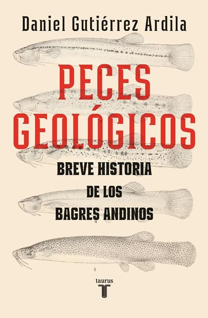 Peces geológicos