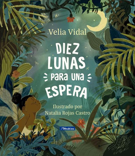 Diez lunas para una espera - Natalia Rojas Castro,Velia Vidal Romero - ebook