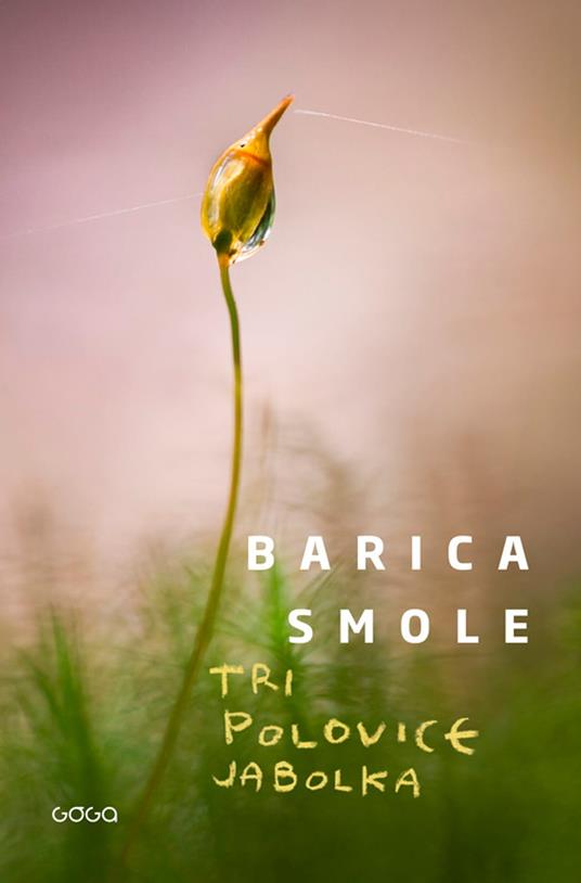 Tri polovice jabolka - Barica Smole - ebook