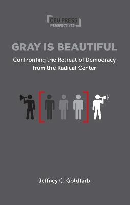 Gray is Beautiful: Confronting the Retreat of Democracy from the Radical Center - Jeffrey Goldfarb - cover