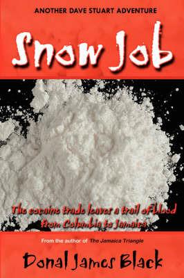 Snow Job - Donal James Black - cover