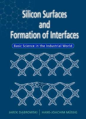 Silicon Surfaces And Formation Of Interfaces: Basic Science In The Industrial World - Jarek Dabrowski,Hans-joachim Mussig - cover
