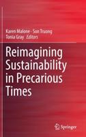 Reimagining Sustainability in Precarious Times - cover
