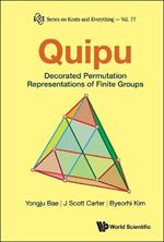 Quipu: Decorated Permutation Representations Of Finite Groups
