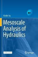 Mesoscale Analysis of Hydraulics - Weilin Xu - cover