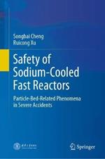 Safety of Sodium-Cooled Fast Reactors: Particle-Bed-Related Phenomena in Severe Accidents