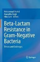 Beta-Lactam Resistance in Gram-Negative Bacteria: Threats and Challenges - cover