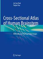 Cross-Sectional Atlas of Human Brainstem