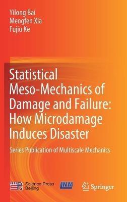 Statistical Meso-Mechanics of Damage and Failure: How Microdamage Induces Disaster: Series Publication of Multiscale Mechanics - Yilong Bai,Mengfen Xia,Fujiu Ke - cover