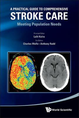 Practical Guide To Comprehensive Stroke Care, A: Meeting Population Needs - cover
