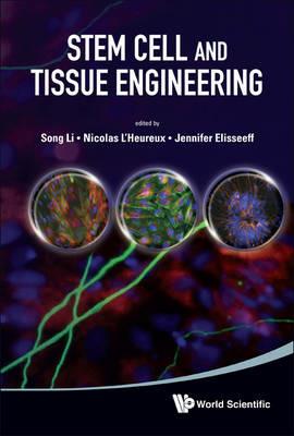 Stem Cell And Tissue Engineering - cover