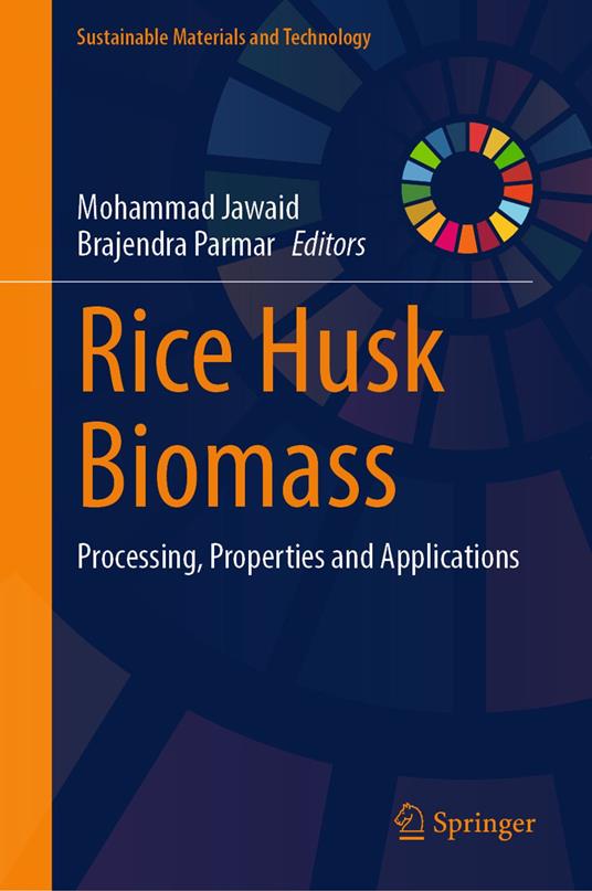 Rice Husk Biomass