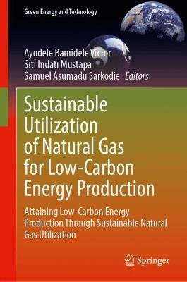 Sustainable Utilization of Natural Gas for Low-Carbon Energy Production: Attaining Low-Carbon Energy Production Through Sustainable Natural Gas Utilization - cover