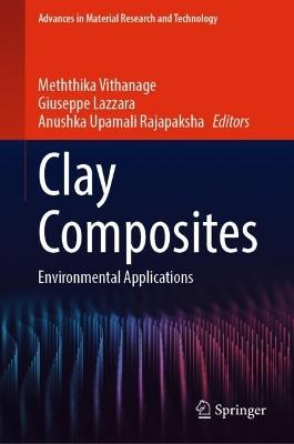 Clay Composites: Environmental Applications - cover