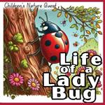 Life of a Lady Bug: The Survival of a Lady Bug illustrated in in children's picture books of Nature