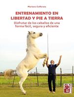 Entrenamiento en libertad y pie a tierra