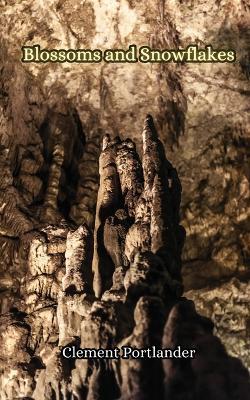 Winter's Silence - Clement Portlander - cover