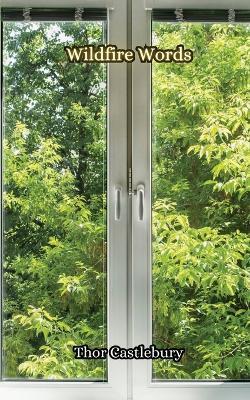 After the Flood - Thor Castleburry - cover