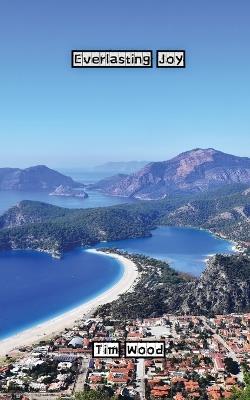 Everlasting Joy - Tim Wood - cover