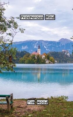 Prosperous Mind - Tim Wood - cover